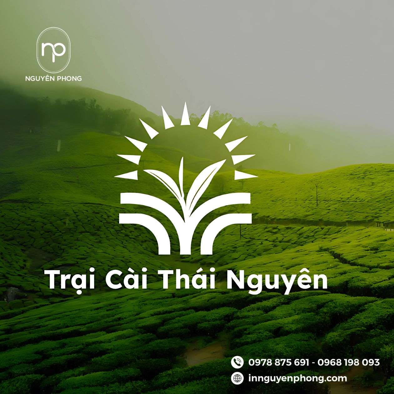 Mẫu logo chè 